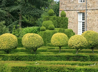 Jardin topiaire verdoyant avec des arbres sphériques, des haies taillées et un mur de pierre à Allainville près d'Ablis dans les Yvelines 78