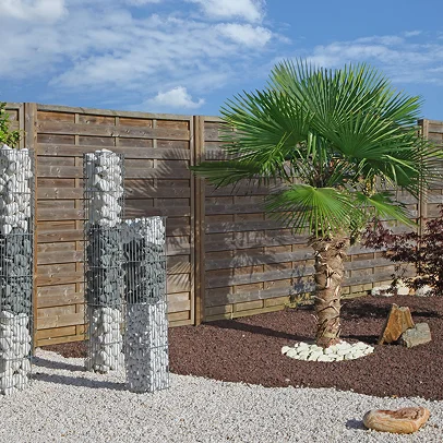 Jardin moderne avec un palmier, des gabions et des graviers clairs et foncés à Allainville près d'Ablis dans les Yvelines 78