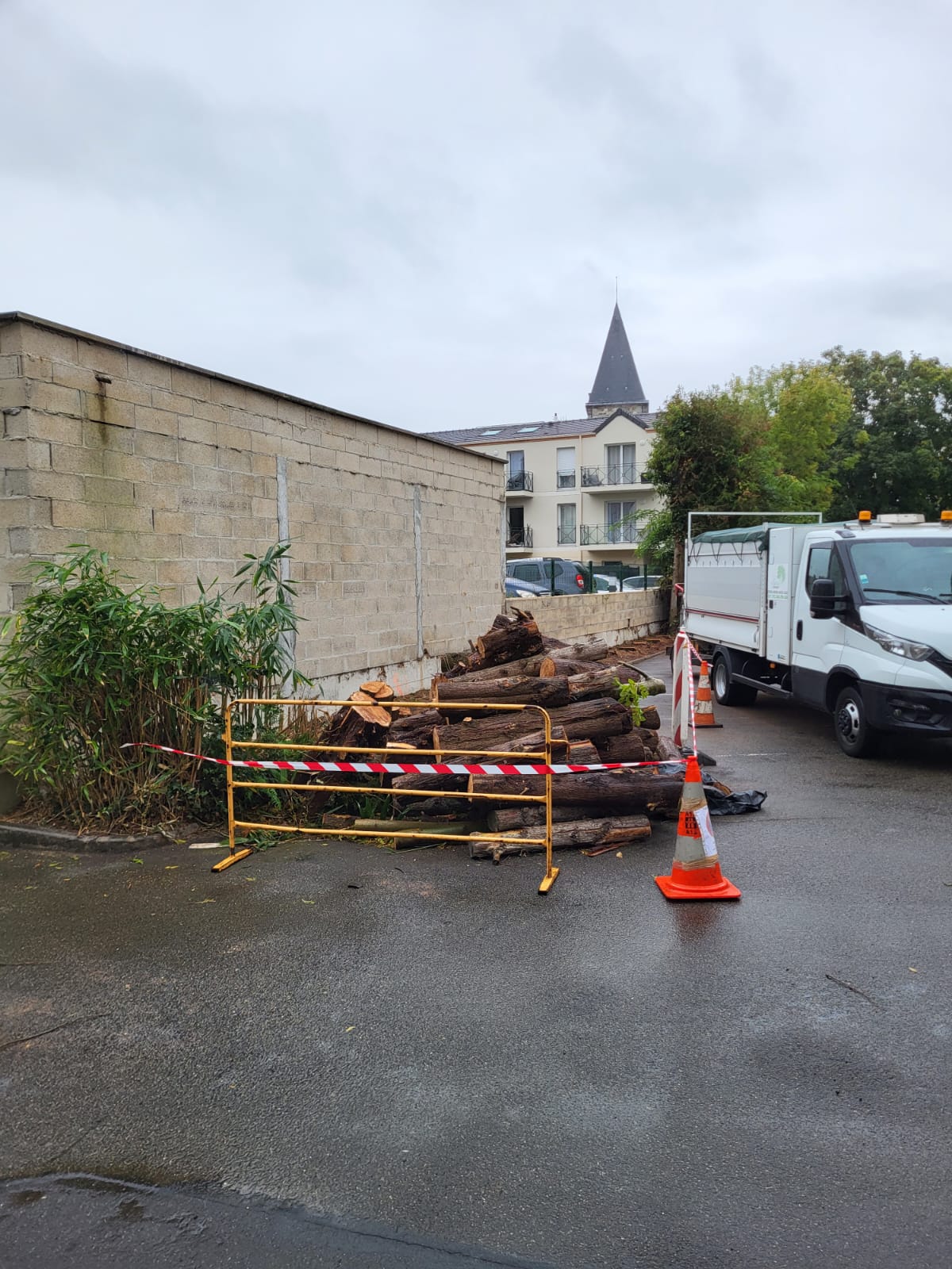 Abattage d'une haie de thuyas en copropriété